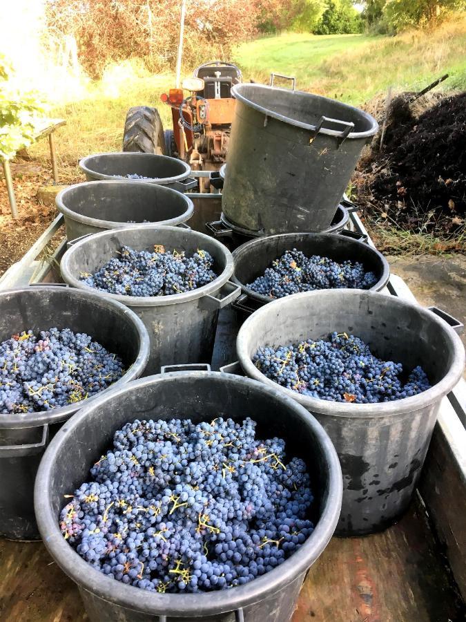 Le Clos D'Almide Monestier  Eksteriør bilde