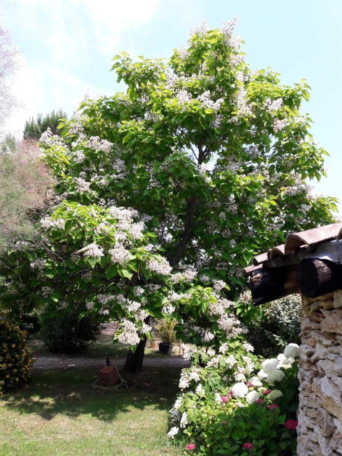 Le Clos D'Almide Monestier  Eksteriør bilde